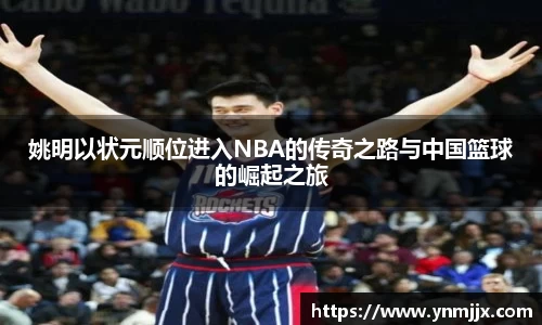 龙8国际